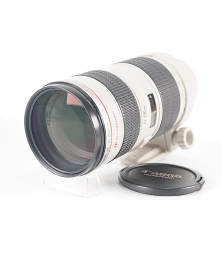 極美品 Canon EF70-200mm f/4L IS USM Canon EF 70-200mm f/4 L is USM Lens for Canon Digital SLR Cameras